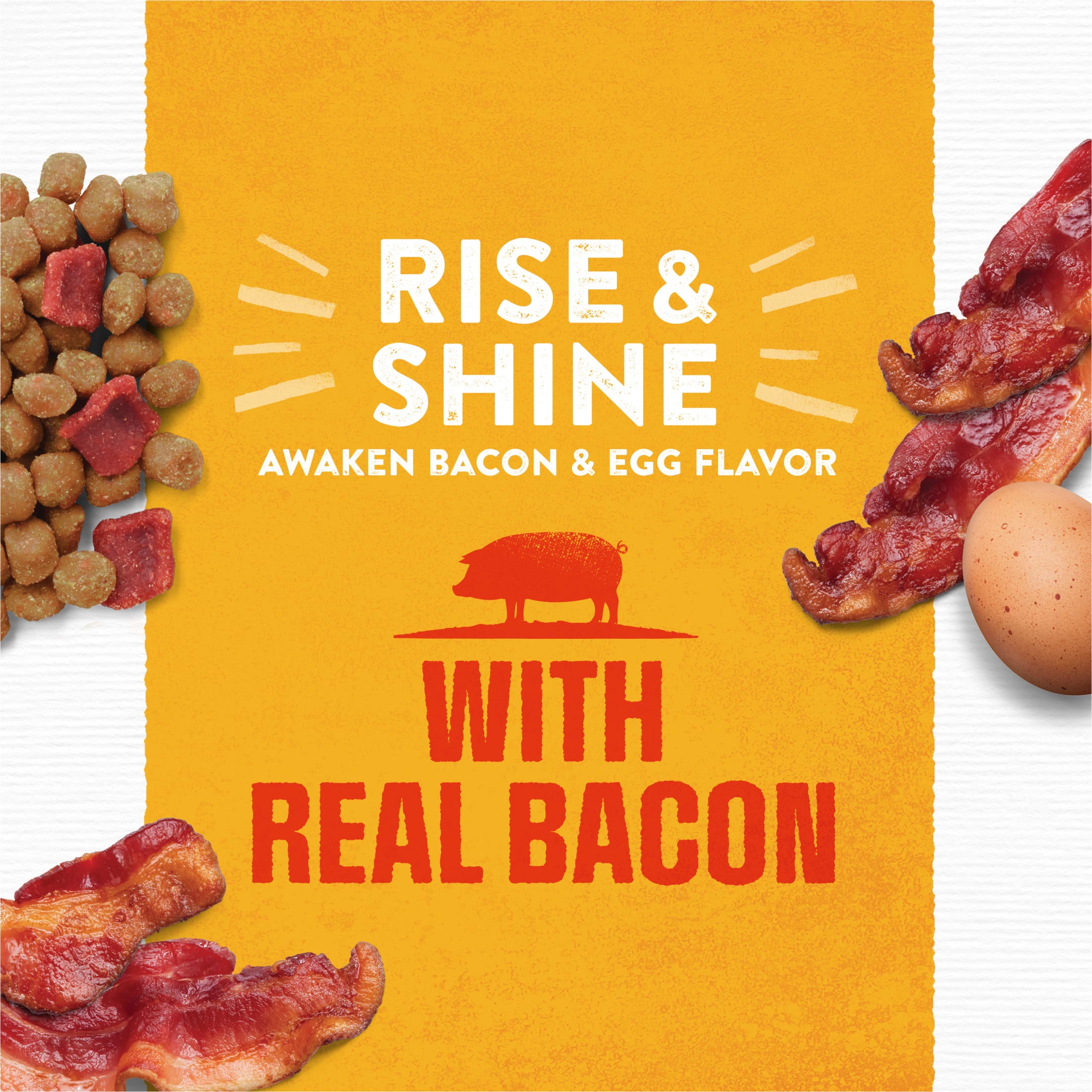Purina Moist and Meaty Rise and Shine Awaken Bacon and Egg Flavor Soft Dog Food High Protein Pouches (12 Pouches)