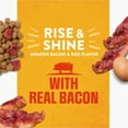 thumbnail image 4 of Purina Moist and Meaty Rise and Shine Awaken Bacon and Egg Flavor Soft Dog Food High Protein Pouches (12 Pouches), 4 of 11