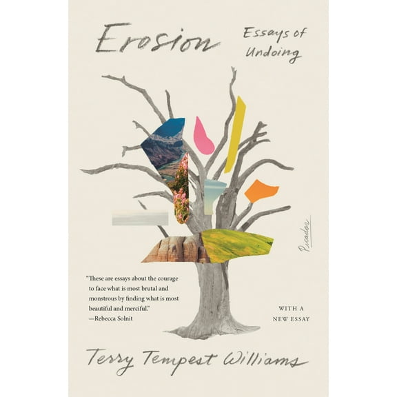 Erosion : Essays of Undoing (Paperback)