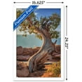 thumbnail image 3 of Beth Sheridan - Dead Horse Point Wall Poster, 14.725" x 22.375", Framed, 3 of 3