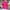 Hot Pink, variant on Qunyiney Zip Up Womens Jacket Puffer Casual Solid Black Lightweight Jacket Warm Stand Collar Long Sleeve Slim Short Hoodless Coats