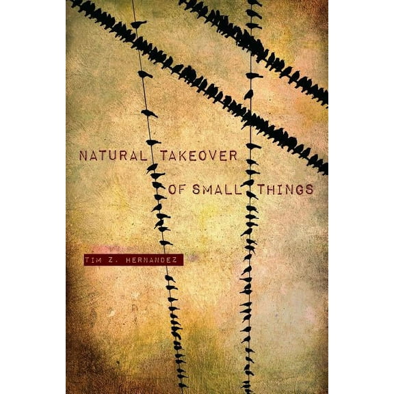 Camino del Sol: Natural Takeover of Small Things (Paperback)