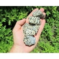 thumbnail image 5 of Dalmation Jasper Rough Natural Stones Bulk Wholesale lots - Raw Jasper Crystals, 5 of 7