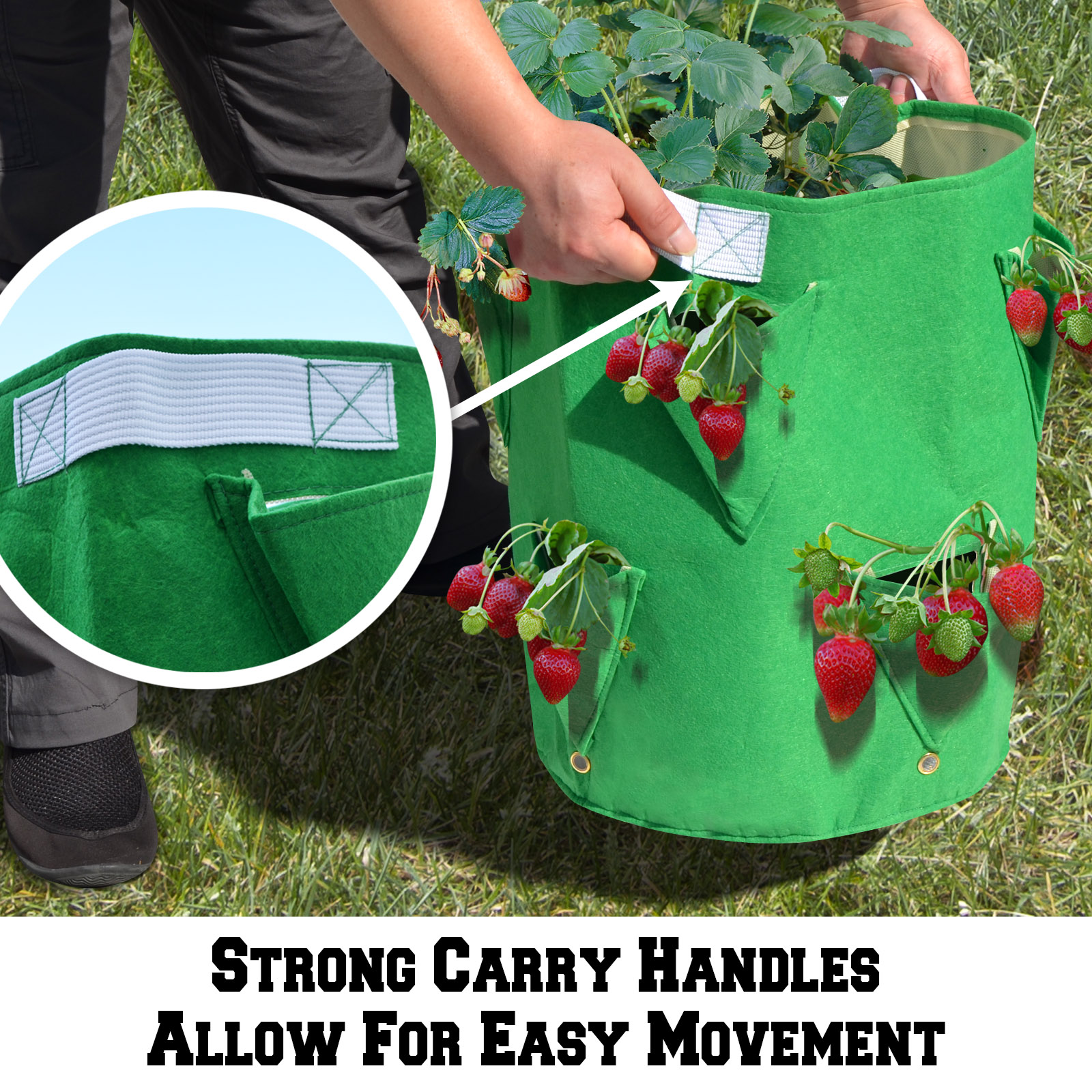 Strong Camel Planter Bag Felt Fabric Garden Planting Bag Grow Strawberry and Herb Plant Tub 3 Pack