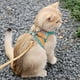 thumbnail image 3 of Adjustable Dog Cat Harness Vest With Walking Lead Leash Puppy Kitten Collar Cotton Soft Harness For Small Medium Dogs Chihuahua, 3 of 4
