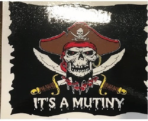 BEATINGS WILL CONTINUE Pirate 4.75" Vinyl Decal Sticker Indoors Outdoors USA 