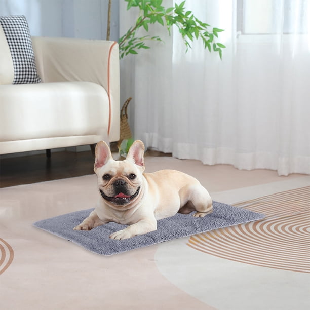 PRODUCTOS PARA MASCOTAS Colchoneta autocalentable para cama Colchoneta térmica autocalentable para perros Colchoneta calefactora para gatos Colchoneta calefactora para gatos callejeros y domésticos Co