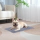 thumbnail image 1 of PRODUCTOS PARA MASCOTAS Colchoneta autocalentable para cama Colchoneta térmica autocalentable para perros Colchoneta calefactora para gatos Colchoneta calefactora para gatos callejeros y domésticos Co, 1 of 6