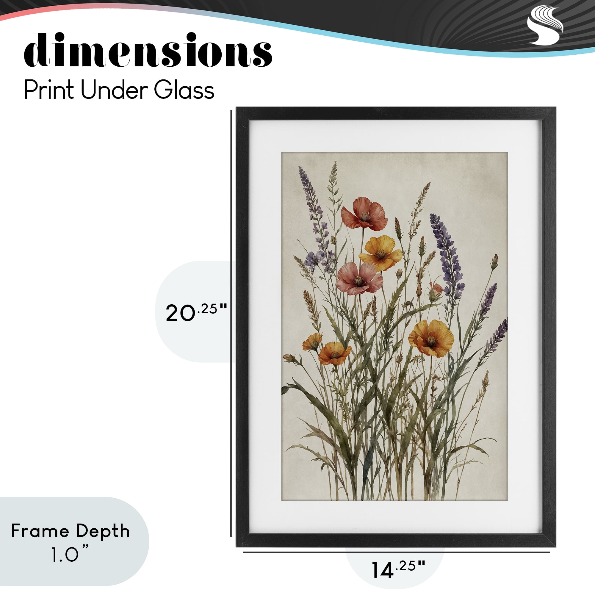 Stupell Industries Vintage Collection of Meadow Botanicals Black Framed Print Under Glass, design by Nataly White