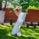 thumbnail image 3 of Campanas De Viento Colgante de cristal Sundrop Animal/Árbol de la vida prismas de Metal colgante decoración del hogar, 3 of 7