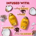 thumbnail image 5 of OGX Anti-Hair Fall + Coconut Caffeine Strengthening Shampoo with Coffee Extract, 13 fl oz, 5 of 7