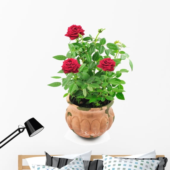 Red Roses Pot Wall Decal by Wallmonkeys Peel and Stick Graphic (48 in H x 35 in W) WM355327