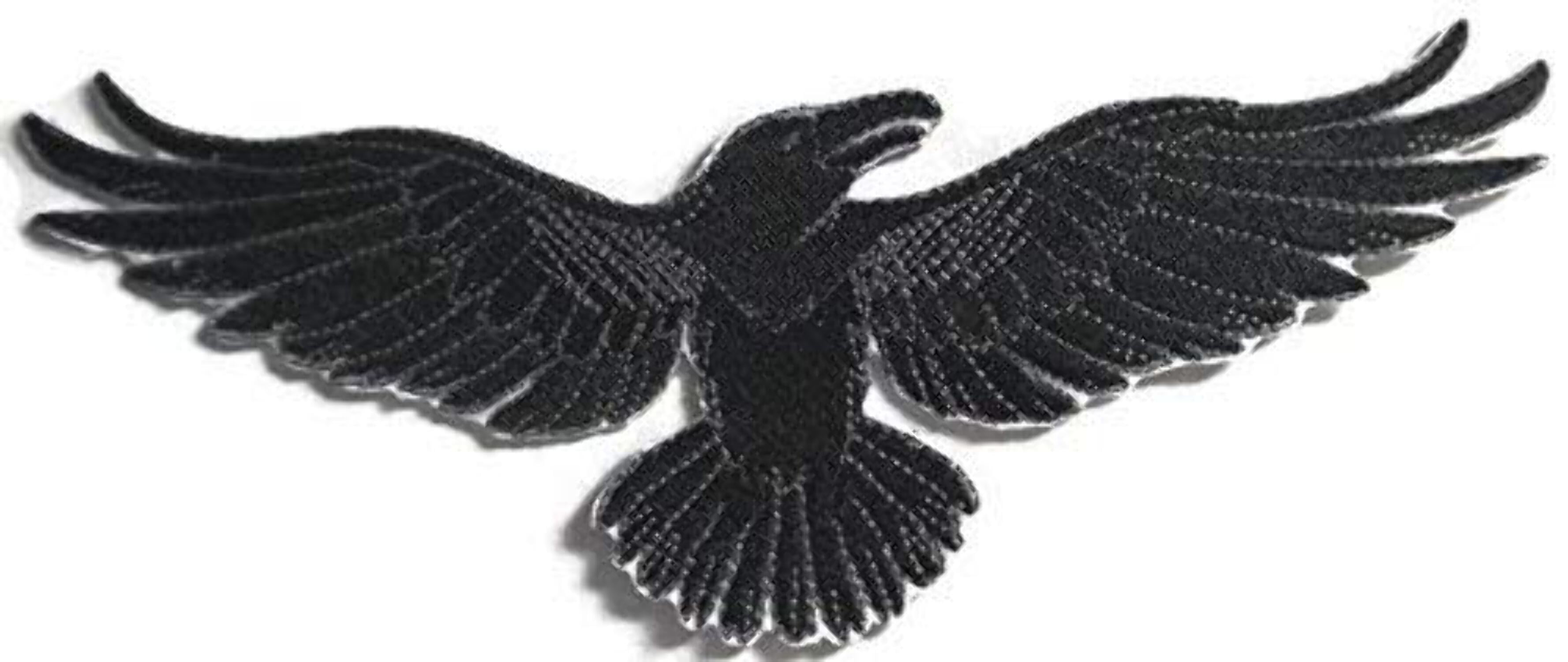 BeyondVision Custom and Unique Happy Halloween [Wild Side Raven] Embroidered Iron on/Sew Patch [8.1x5]