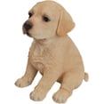 thumbnail image 4 of HI-LINE GIFT LTD. YELLOW LABRADOR PUPPY, 4 of 5