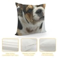thumbnail image 4 of Ollo0ord Throw Pillow Cover  Square Decorative Pillowcase English-Bulldog Double-Sided Print Cushion Covers for Couch Bed Sofa Living Room White, 4 of 5