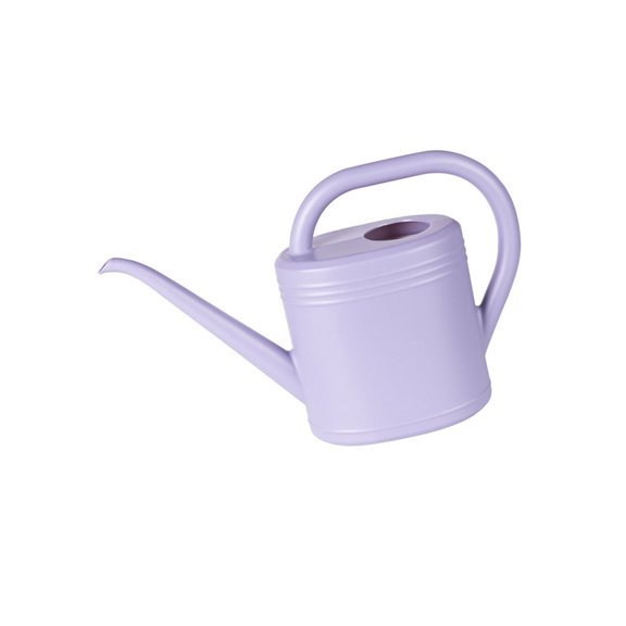 Watering Can for Indoor Plant Small Watering Can for House Plant Garden Flower Long Spout Water for Outdoor Water