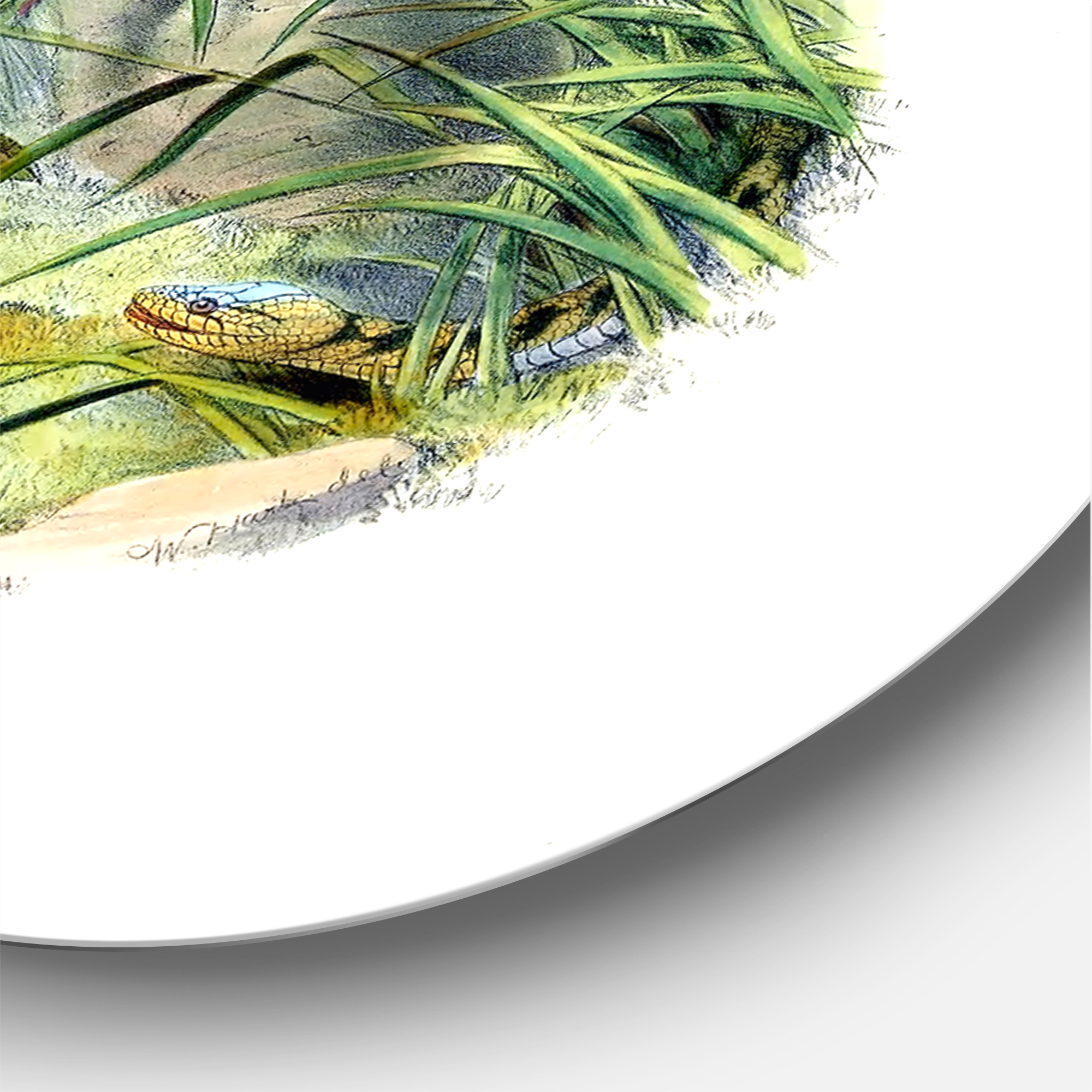 Designart 'Ancient Birds In The Wild I' Traditional Circle Metal Wall Art 36x36 - Disc of 36