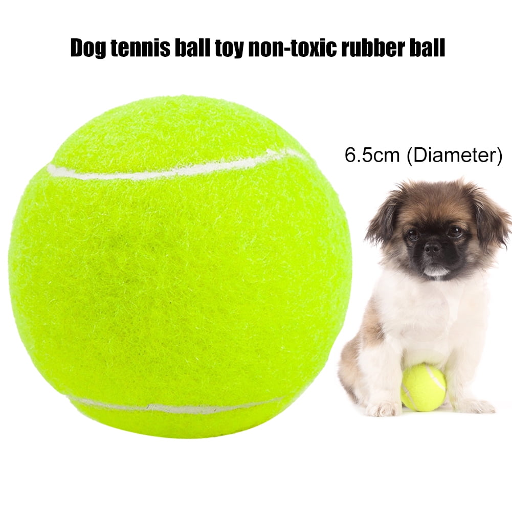 Pacific Pups Products Balls for Dogs - 6 Pack Variety, Dog Toys for Small  Dogs, Tennis Balls for Dogs, Squeaky Dog Balls & Dog Treat Toys 
