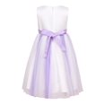thumbnail image 2 of Richie House Girls' Princess Party Dress with Mesh Covered Bottom RH2412, 2 of 2
