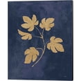 thumbnail image 2 of Great Art Now Botanical Study Gold Navy by Julia Purinton 2 Piece Canvas Art Set Each 12"W x 15"H, 2 of 3