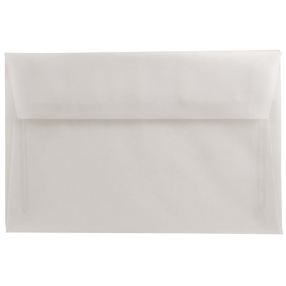 JAM 6 x 9 Translucent Envelopes, Clear, 250/Pack