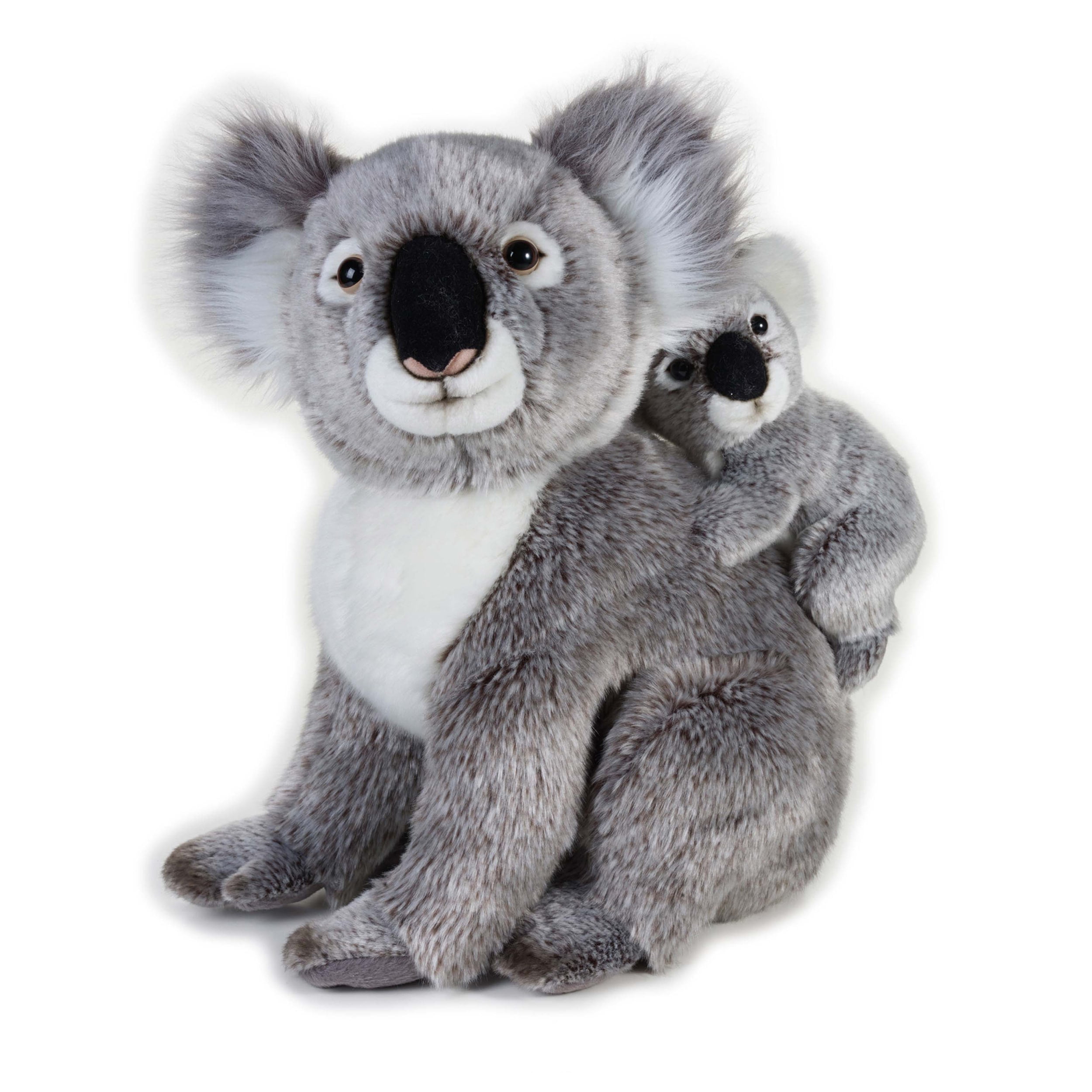 plush koala