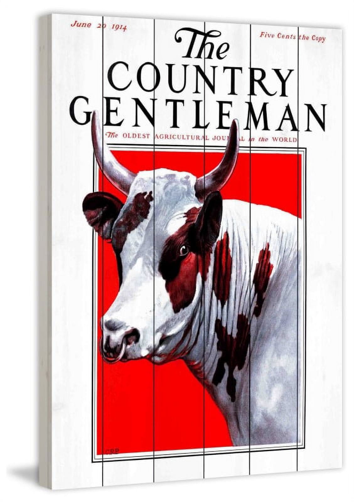 Marmont Hill "CG Bull" Painting Print on White Wood