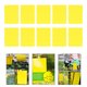 thumbnail image 1 of Trampas adhesivas amarillas para mosquitos de dos cara para plantas voladoras de interior / exterior, hongos, mosquitos, moscas blanca -dix piezas 10 piezas CUTICAT Trampas pegajosas amarillas de doble cara, 1 of 8