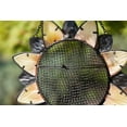thumbnail image 3 of Sunflower Metal And Glass Bird Feeder, 3 of 3