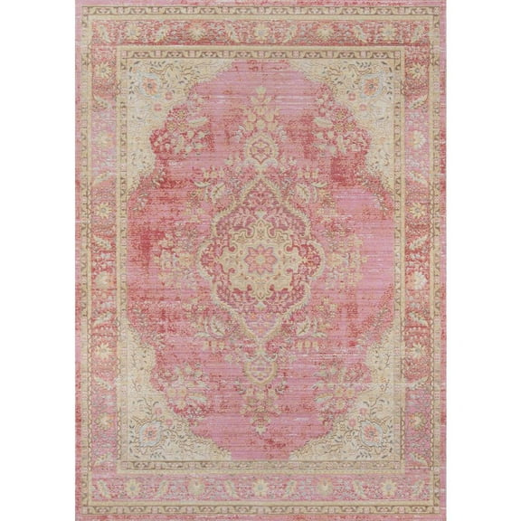Momeni Isabella ISA-1 Pink 5'3" X 7'3"