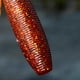 thumbnail image 5 of Cebo Pesca Suave Swimbait 5pcs Duradero para Perch Croaker Snakehead, 5 of 9
