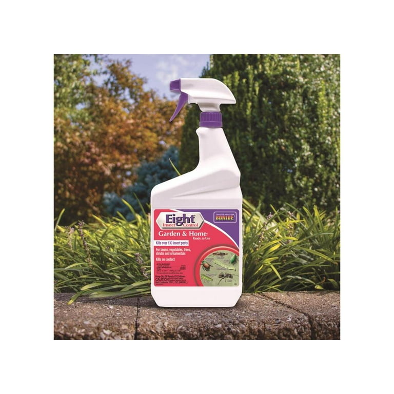 how to fertilize air plants Ready-To-Use Tillandsia Air Plant Fertilizer