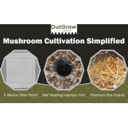 All in One Mushroom Grow Bag - Manure Based, 2 Pack