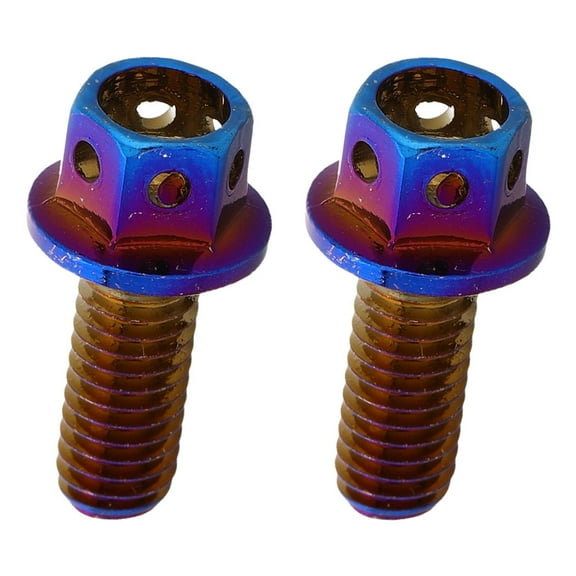 Masteelf 2pcs Unique Motorcycle License Plate Screws for Car Plate Mounting Anti-Theft Fasteners for Vehicle Security Socket Drive