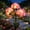 #D-Pink, variant on Fairy Hydrangea Lights with 3 Flowers, IP65 Waterproof Solar Powered with 15H Lighting for Patio, Yard, Garden & Outdoor Decor ,#E