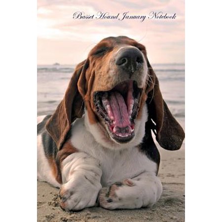 - Basset Hound January Notebook Basset Hound Record, Log, Diary, Special Memories, to Do List, Academic Notepad, Scrapbook & More