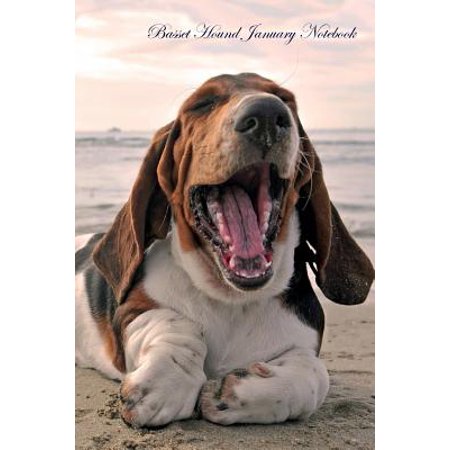 Basset Hound January Notebook Basset Hound Record, Log, Diary, Special Memories, to Do List, Academic Notepad, Scrapbook & (Best Age To Neuter A Basset Hound)