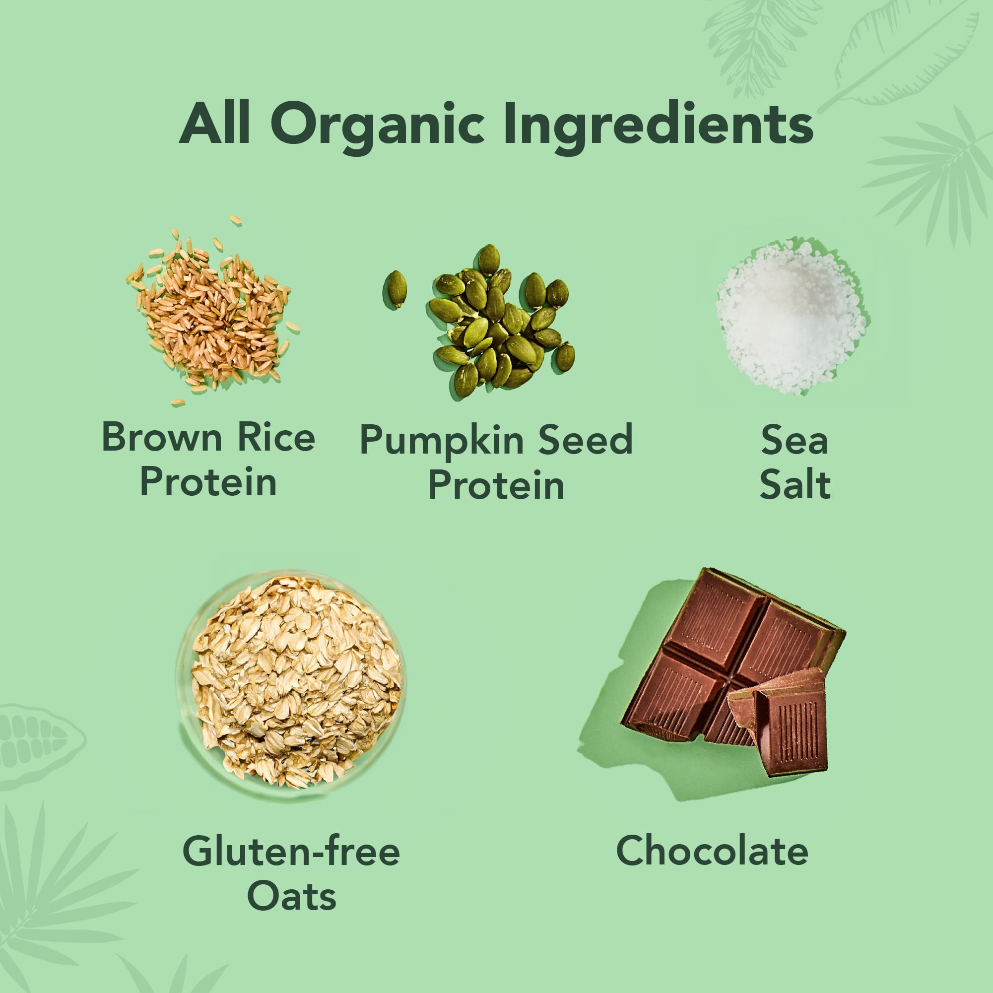 ALOHA Plant Based Protein Bars, Oatmeal, 14g Protein (Pack of 12)