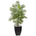 thumbnail image 1 of Nearly Natural 5955 4,5 Pi Areca Palmier avec Bac de Lavage Noir Résistant UV, 1 of 1