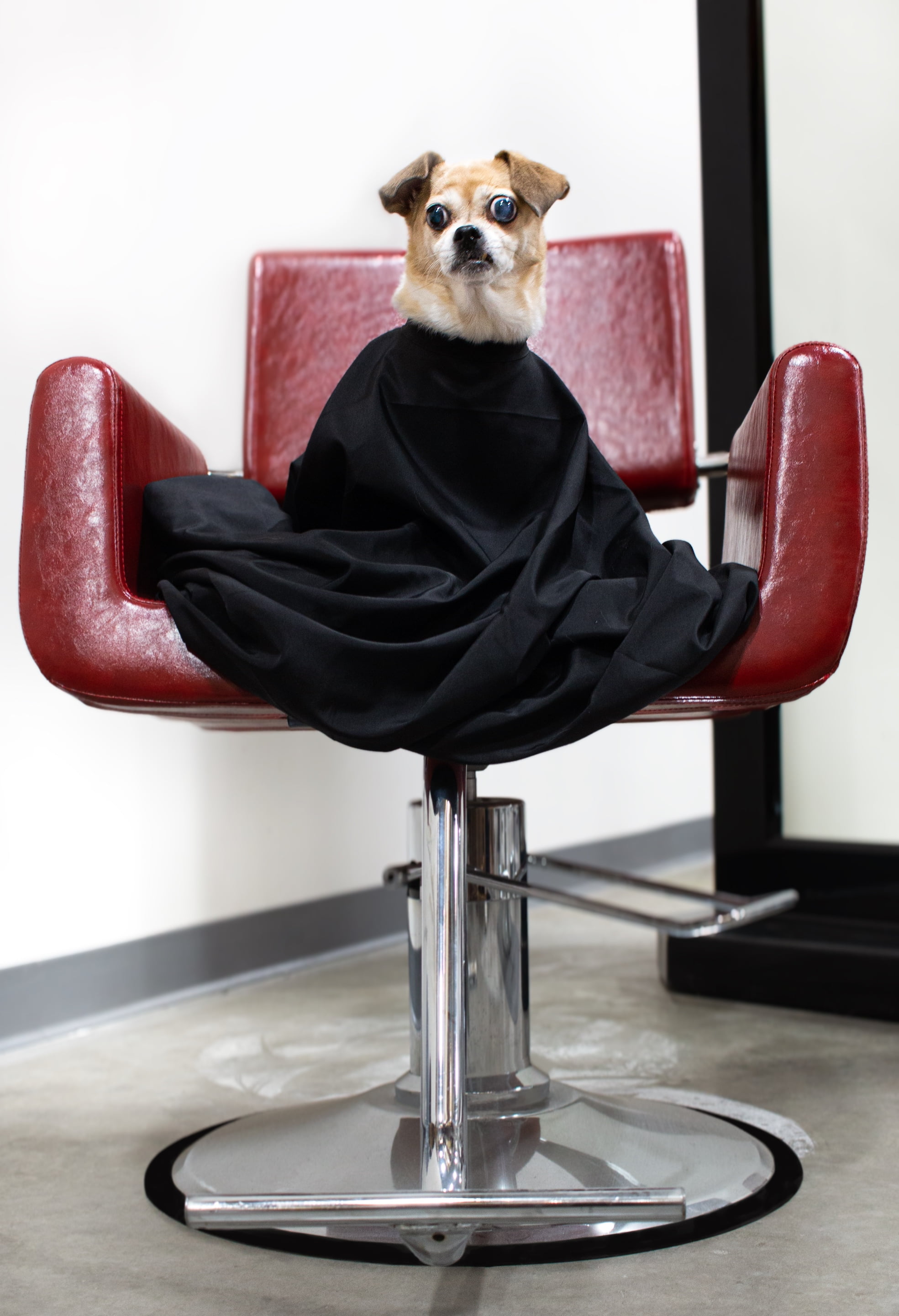 Black & White Barber Hairdressing Capes – K5 International