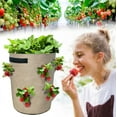 thumbnail image 2 of Zmeidao Strawberry Planter, Tomato Grow Bag, Sturdy Hanging Handle Grow Bags for Tomato Hot Peppers Vegetables, 2 of 5