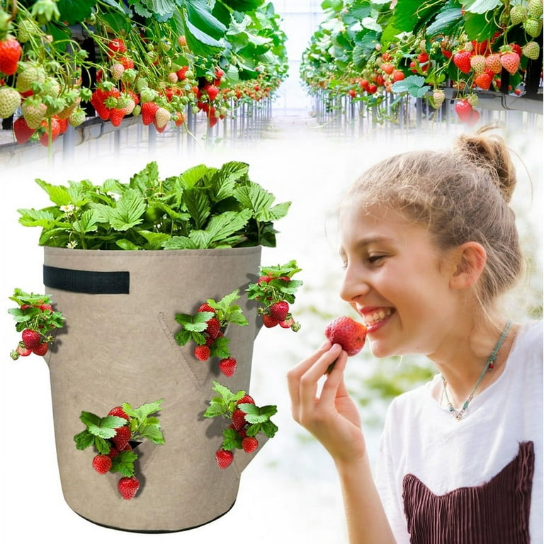 planter urn plastic Lakeside Plastic Urn Planter in White-Gold or Black-Copper