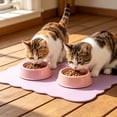 thumbnail image 6 of Pet Placemat for Dog and Cat, Anti-Slip Waterproof Dogs Feeding Mat Prevent Food and Water Overflow, Bowl Mats Suitable for Small Pets, 6 of 6