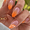 Orange Gradient Gloss, variant on Fofosbeauty 24 pcs Almond Nails Designs 2022, Medium Press on Nails French Tip Nails, French Light Purple