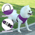 thumbnail image 6 of MoNiBloom No Pull Dog Harness, Pet Vest Adjustable Mesh Breathable Harnesses for Dogs Walking, Purple XS, 6 of 8