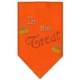 thumbnail image 6 of Halloween Pet and Dog Bandana Rhinestone, "I'm The Treat", 6 of 6