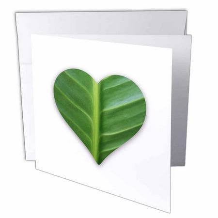 3dRose Green Leaf Heart shape photo graphic - for Earth day or nature fans, Greeting Card, 6 x 6 inches, (Best Single Graphics Card)