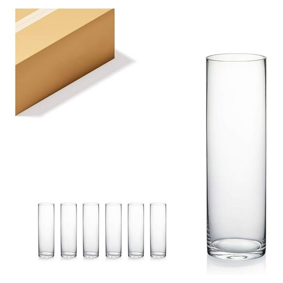 Glass Cylinder Vases 6-Piece Set, 3"x10" - Clear Flower Vase Centerpieces, Thick Weighted Glass, Floating Candle Holders, Home Decor