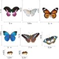 thumbnail image 2 of Ventana con mariposas de doble cara que se adhiere para evitar choques con aves, 2 of 3