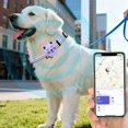 thumbnail image 7 of GJX 2026 New 1Pc Bluetooth Pet Locator for Dogs and Cats,Gps Tracking with Adjustable Collar,Waterproof,Multi-Person Care,Long Battery Life,Compatible with Ios and Android(Purple), 7 of 7